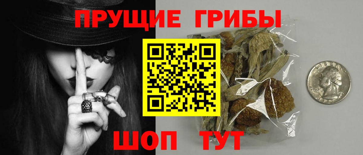 Галлюциногенные грибы прущие грибы Курганинск