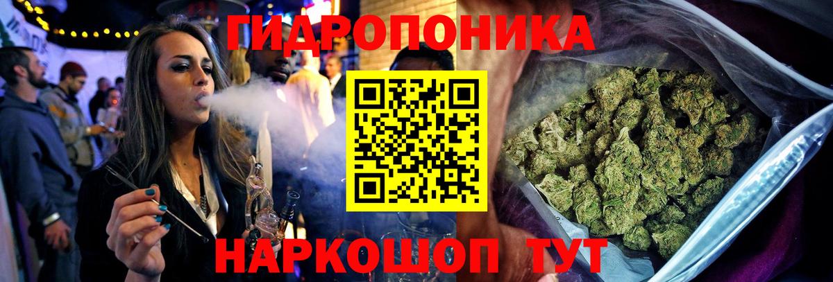Бошки марихуана White Widow Курганинск